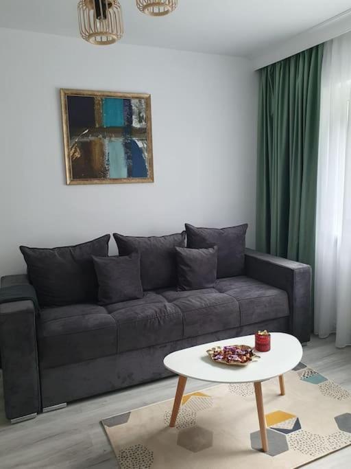 Apartament Ama Sibiu Exterior foto