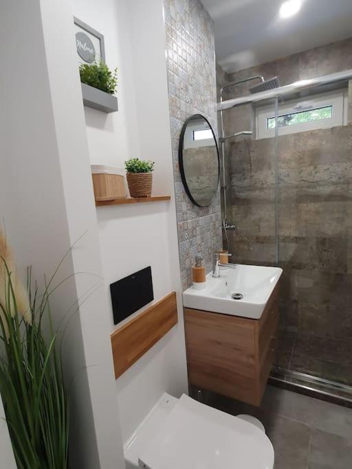 Apartament Ama Sibiu Exterior foto